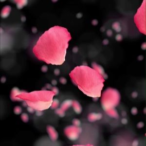 Meet your Posher, Michele